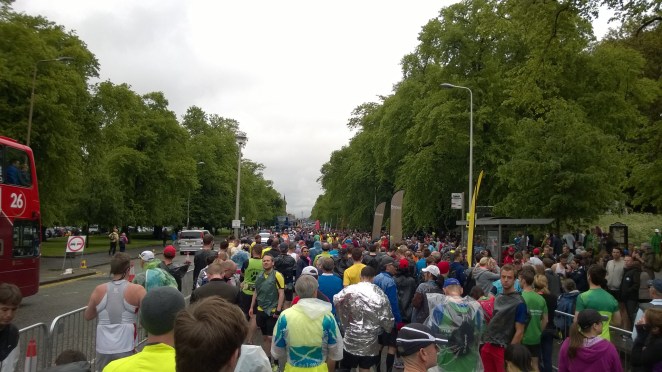Looking towards the start from the yellow pen