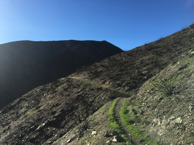 20170213_160210456_ios